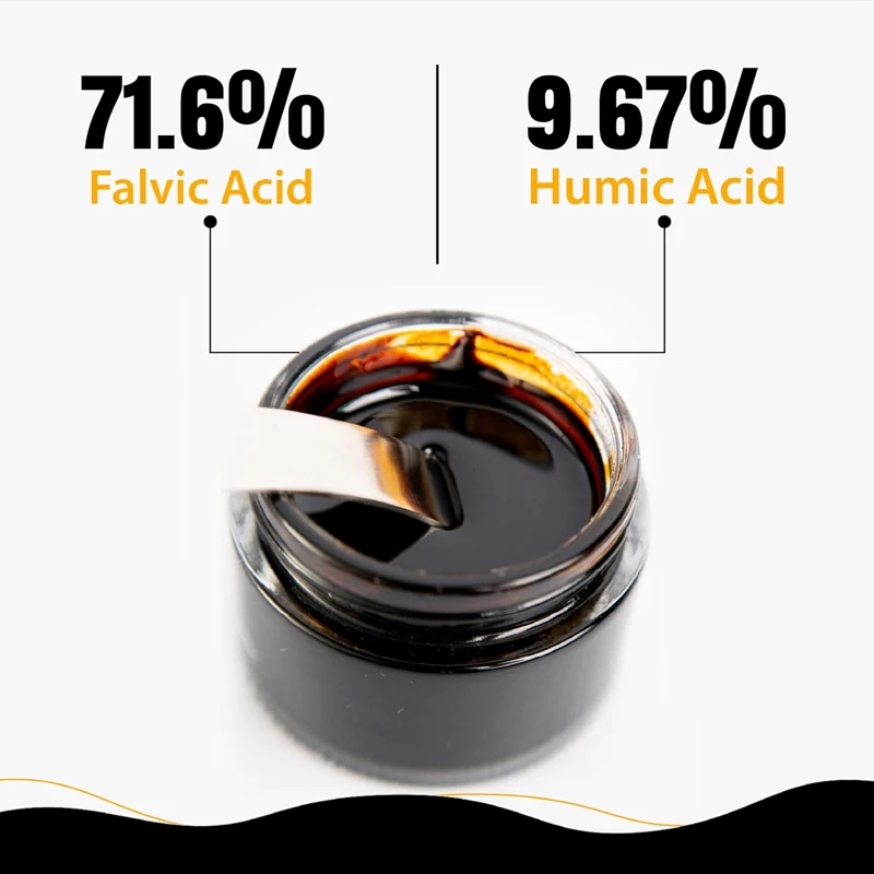 Resin Shilajit Himalaya Murni, - Shilajit Resin Pure ulasan dan harga
