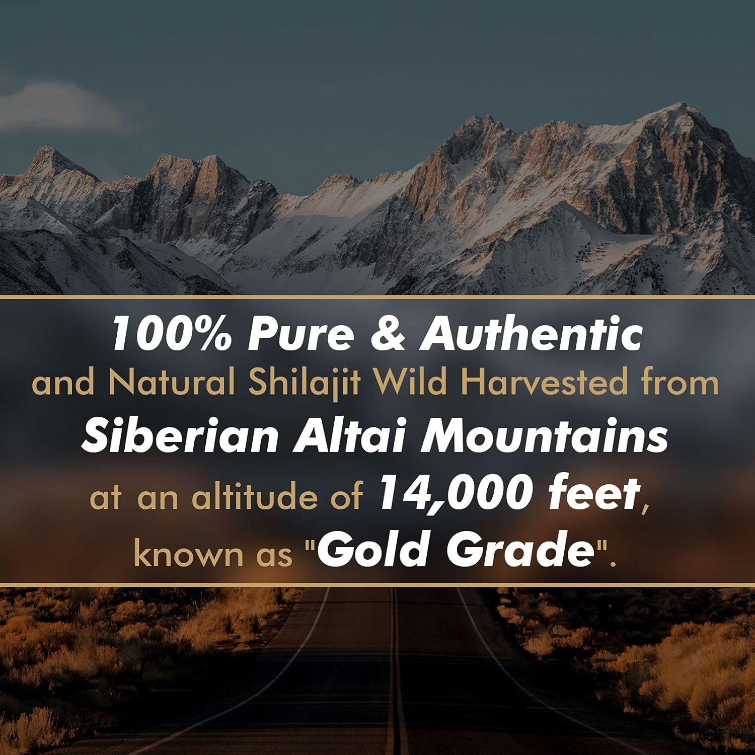 Resin Shilajit Murni Asli deng - Shilajit Resin Pure ulasan dan harga
