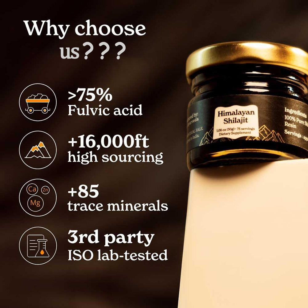 Shilajit Himalaya Murni, Resin - Shilajit Resin Pure ulasan dan harga